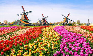 Antalya'dan Amsterdam Turu