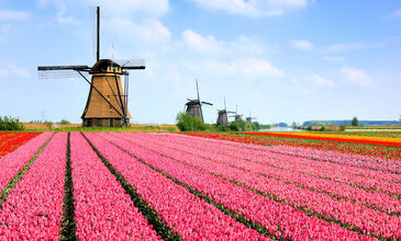 Ankara'dan Amsterdam Turu