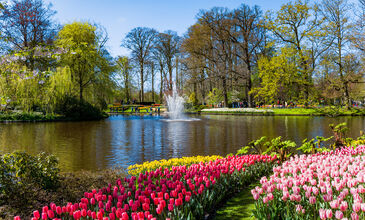 İstanbul'dan Amsterdam Turu