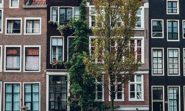 İstanbul'dan Amsterdam Turu